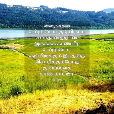 Picture 04 - யோபு 5:24 TAMIRV - உம்முடைய - Bible Verse Picture