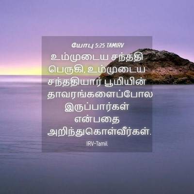 Picture 04 - யோபு 5:25 TAMIRV - உம்முடைய சந்ததி - Bible Verse Picture