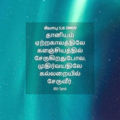 Picture 04 - யோபு 5:26 TAMIRV - தானியம் - Bible Verse Picture