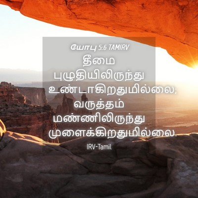 Picture 04 - யோபு 5:6 TAMIRV - தீமை - Bible Verse Picture