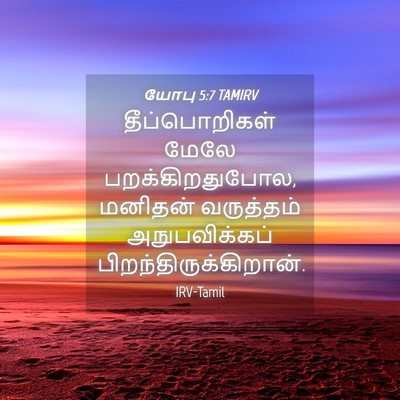 Picture 04 - யோபு 5:7 TAMIRV - தீப்பொறிகள் மேலே - Bible Verse Picture