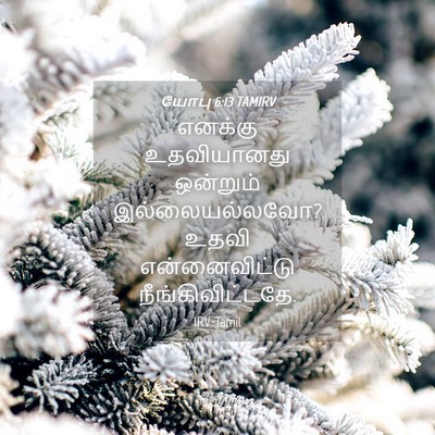 Picture 04 - யோபு 6:13 TAMIRV - எனக்கு உதவியானது - Bible Verse Picture