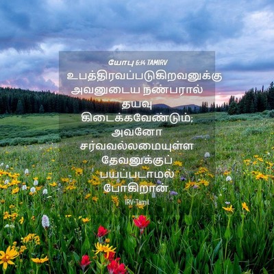 Picture 04 - யோபு 6:14 TAMIRV -  - Bible Verse Picture