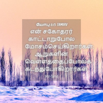 Picture 04 - யோபு 6:15 TAMIRV - என் சகோதரர் - Bible Verse Picture