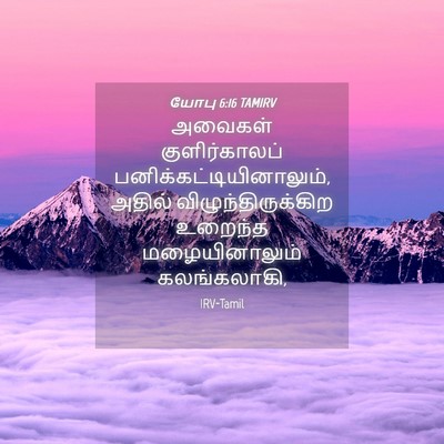 Picture 04 - யோபு 6:16 TAMIRV - அவைகள் - Bible Verse Picture
