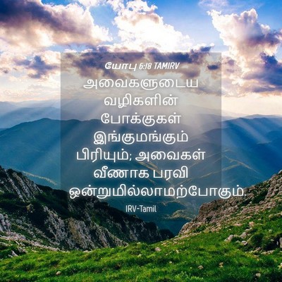 Picture 04 - யோபு 6:18 TAMIRV - அவைகளுடைய - Bible Verse Picture