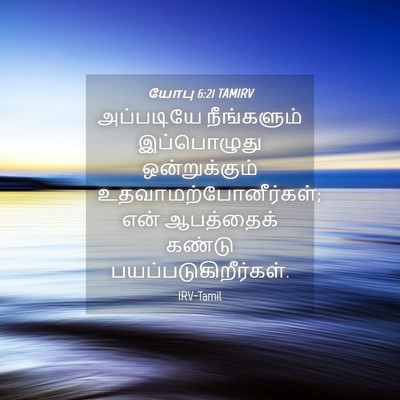 Picture 04 - யோபு 6:21 TAMIRV - அப்படியே - Bible Verse Picture