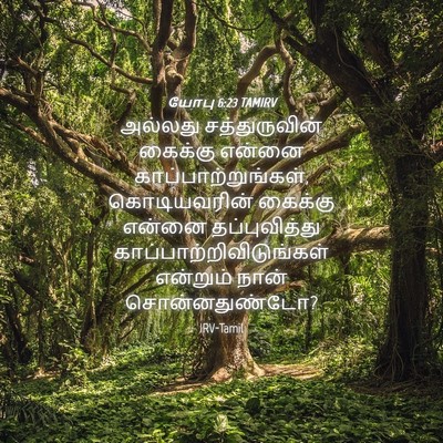 Picture 04 - யோபு 6:23 TAMIRV - அல்லது - Bible Verse Picture