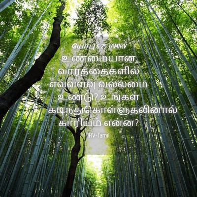 Picture 04 - யோபு 6:25 TAMIRV - உண்மையான - Bible Verse Picture