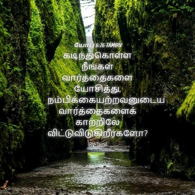 Picture 04 - யோபு 6:26 TAMIRV - கடிந்துகொள்ள - Bible Verse Picture
