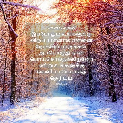 Picture 04 - யோபு 6:28 TAMIRV - இப்போதும் - Bible Verse Picture