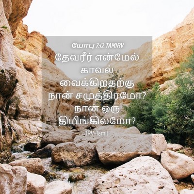 Picture 04 - யோபு 7:12 TAMIRV - தேவரீர் என்மேல் - Bible Verse Picture