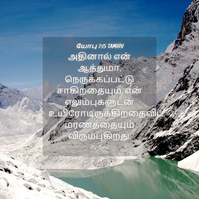 Picture 04 - யோபு 7:15 TAMIRV - அதினால் என் - Bible Verse Picture
