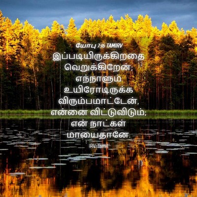 Picture 04 - யோபு 7:16 TAMIRV -  - Bible Verse Picture