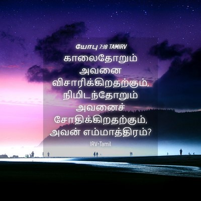 Picture 04 - யோபு 7:18 TAMIRV - காலைதோறும் அவனை - Bible Verse Picture