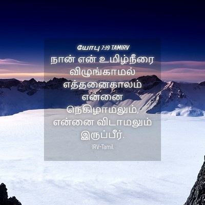 Picture 04 - யோபு 7:19 TAMIRV - நான் என் - Bible Verse Picture