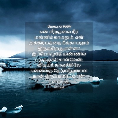 Picture 04 - யோபு 7:21 TAMIRV - என் மீறுதலை நீர் - Bible Verse Picture