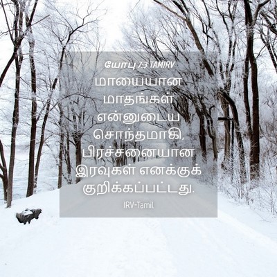 Picture 04 - யோபு 7:3 TAMIRV - மாயையான மாதங்கள் - Bible Verse Picture