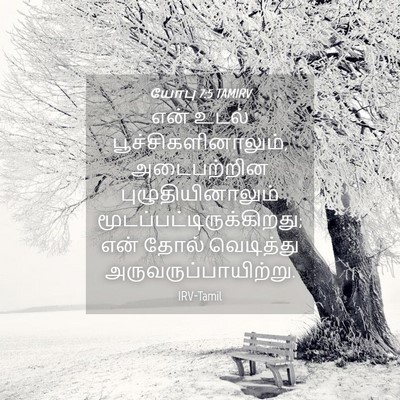 Picture 04 - யோபு 7:5 TAMIRV - என் உடல் - Bible Verse Picture