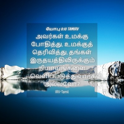 Picture 04 - யோபு 8:10 TAMIRV - அவர்கள் உமக்கு - Bible Verse Picture