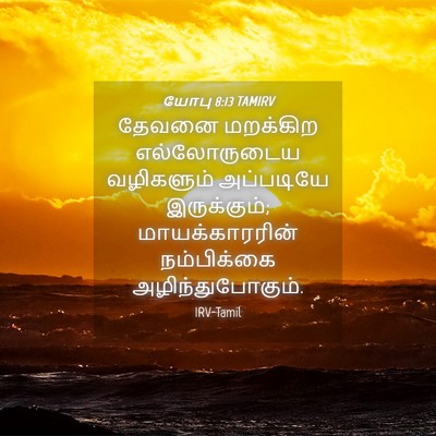 Picture 04 - யோபு 8:13 TAMIRV - தேவனை மறக்கிற - Bible Verse Picture