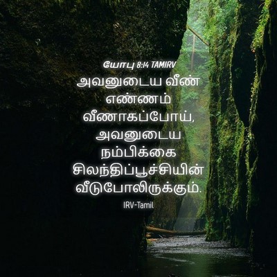 Picture 04 - யோபு 8:14 TAMIRV - அவனுடைய வீண் - Bible Verse Picture