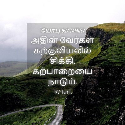 Picture 04 - யோபு 8:17 TAMIRV - அதின் வேர்கள் - Bible Verse Picture