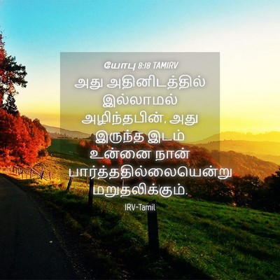 Picture 04 - யோபு 8:18 TAMIRV - அது அதினிடத்தில் - Bible Verse Picture