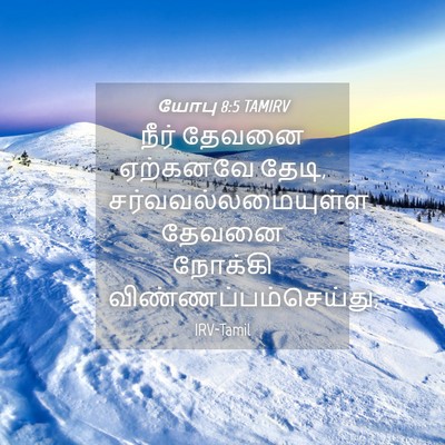 Picture 04 - யோபு 8:5 TAMIRV - நீர் தேவனை - Bible Verse Picture