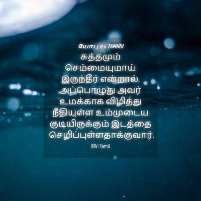 Picture 04 - யோபு 8:6 TAMIRV - சுத்தமும் - Bible Verse Picture