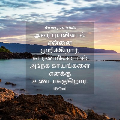 Picture 04 - யோபு 9:17 TAMIRV - அவர் புயலினால் - Bible Verse Picture