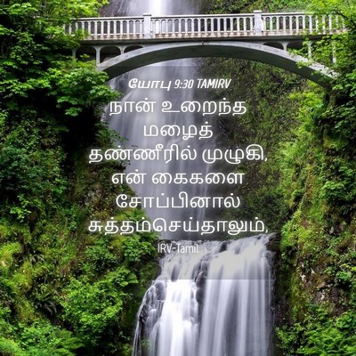 Picture 04 - யோபு 9:30 TAMIRV - நான் உறைந்த மழைத் - Bible Verse Picture