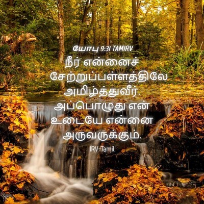 Picture 04 - யோபு 9:31 TAMIRV - நீர் என்னைச் - Bible Verse Picture