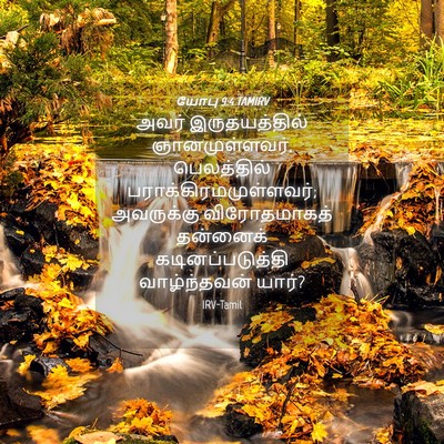 Picture 04 - யோபு 9:4 TAMIRV - அவர் இருதயத்தில் - Bible Verse Picture