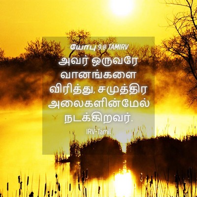 Picture 04 - யோபு 9:8 TAMIRV - அவர் ஒருவரே - Bible Verse Picture