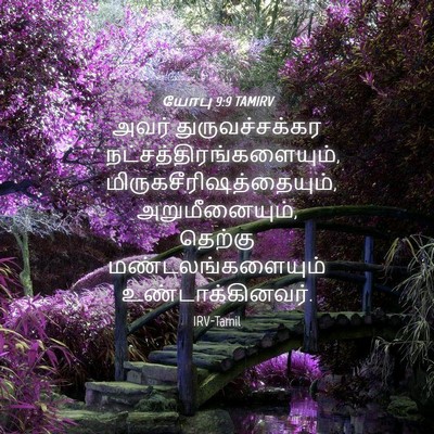 Picture 04 - யோபு 9:9 TAMIRV - அவர் துருவச்சக்கர - Bible Verse Picture