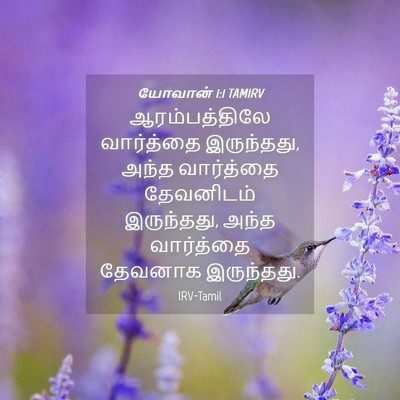 Picture 04 - யோவான் 1:1 TAMIRV - ஆரம்பத்திலே - Bible Verse Picture