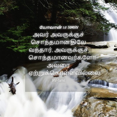 Picture 04 - யோவான் 1:11 TAMIRV - அவர் அவருக்குச் - Bible Verse Picture