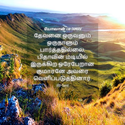 Picture 04 - யோவான் 1:18 TAMIRV - தேவனை ஒருவனும் - Bible Verse Picture