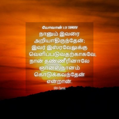 Picture 04 - யோவான் 1:31 TAMIRV - நானும் இவரை - Bible Verse Picture