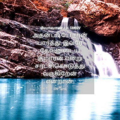 Picture 04 - யோவான் 1:34 TAMIRV - அதன்படியே நான் - Bible Verse Picture