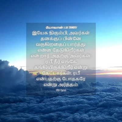 Picture 04 - யோவான் 1:38 TAMIRV - இயேசு திரும்பி, - Bible Verse Picture