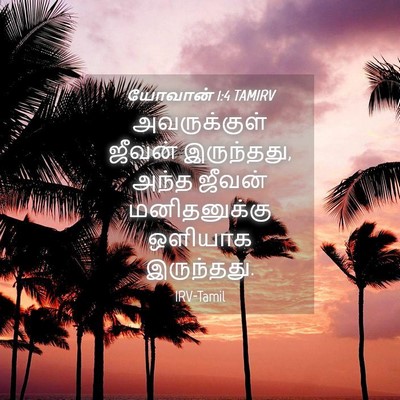 Picture 04 - யோவான் 1:4 TAMIRV - அவருக்குள் ஜீவன் - Bible Verse Picture