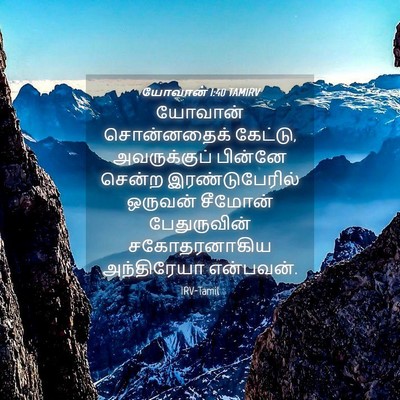Picture 04 - யோவான் 1:40 TAMIRV - யோவான் சொன்னதைக் - Bible Verse Picture