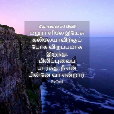 Picture 04 - யோவான் 1:43 TAMIRV - மறுநாளிலே இயேசு - Bible Verse Picture