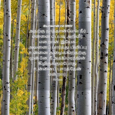 Picture 04 - யோவான் 1:48 TAMIRV - அதற்கு - Bible Verse Picture