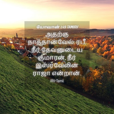 Picture 04 - யோவான் 1:49 TAMIRV - அதற்கு - Bible Verse Picture