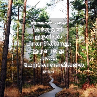 Picture 04 - யோவான் 1:5 TAMIRV - அந்த ஒளி இருளிலே - Bible Verse Picture