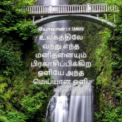 Picture 04 - யோவான் 1:9 TAMIRV - உலகத்திலே வந்து - Bible Verse Picture