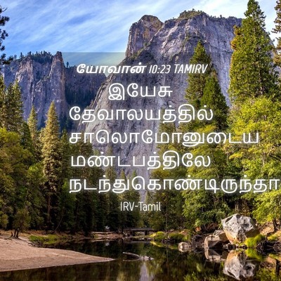 Picture 04 - யோவான் 10:23 TAMIRV - இயேசு - Bible Verse Picture